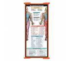 WhiteCoat Clipboard® Trifold - Orange Occupational Therapy Edition